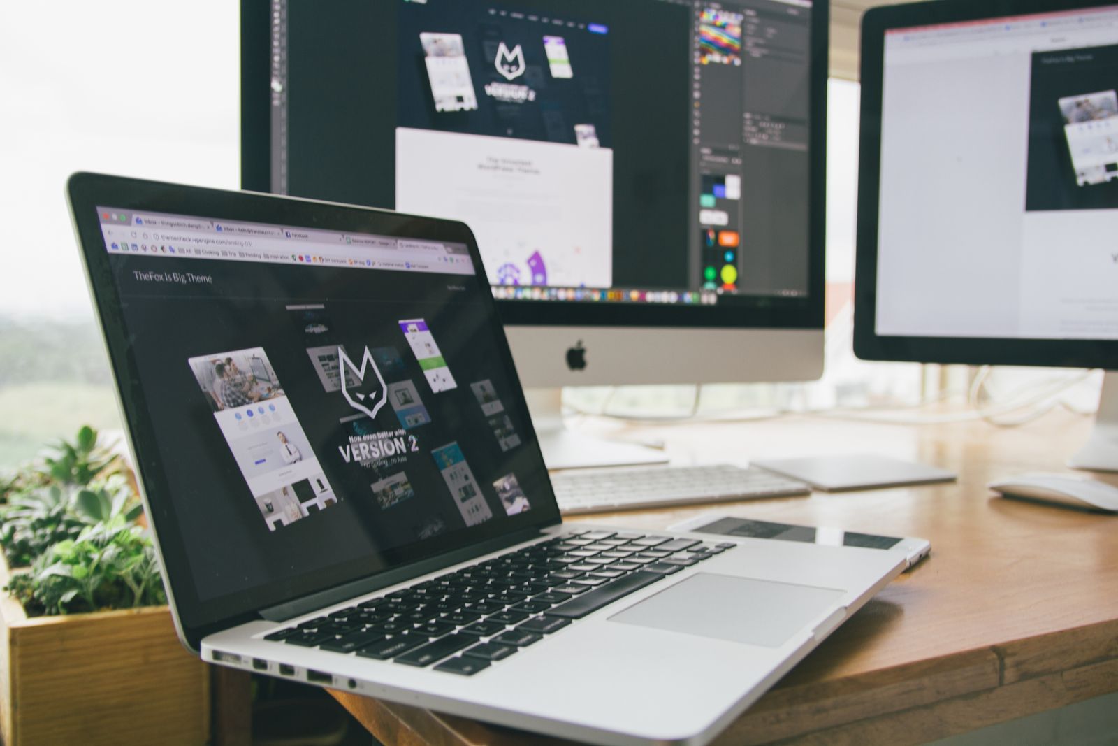 Harbor & Co. — Brand & E-commerce